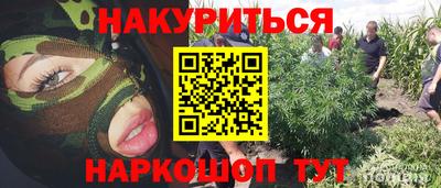 индика Заводоуковск