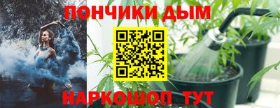 индика Заводоуковск