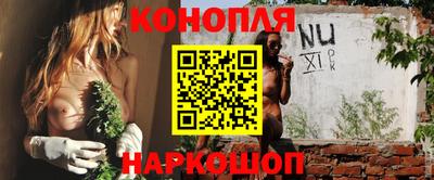 индика Заводоуковск