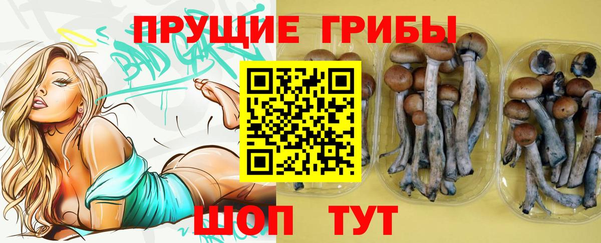 Галлюциногенные грибы прущие грибы Бугуруслан